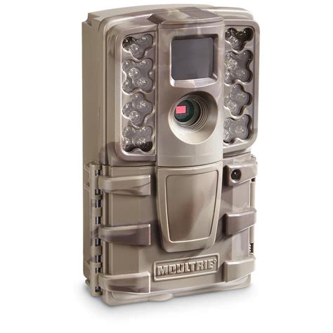 bulking game|bulk game cameras.